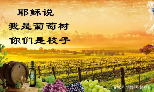 每日与主同行｜2025年3月24日