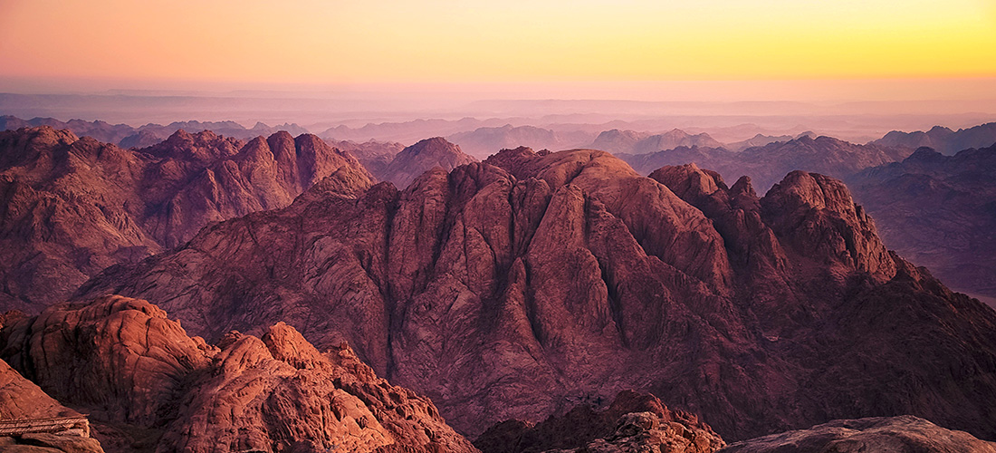 每日与主同行2025年10月16日