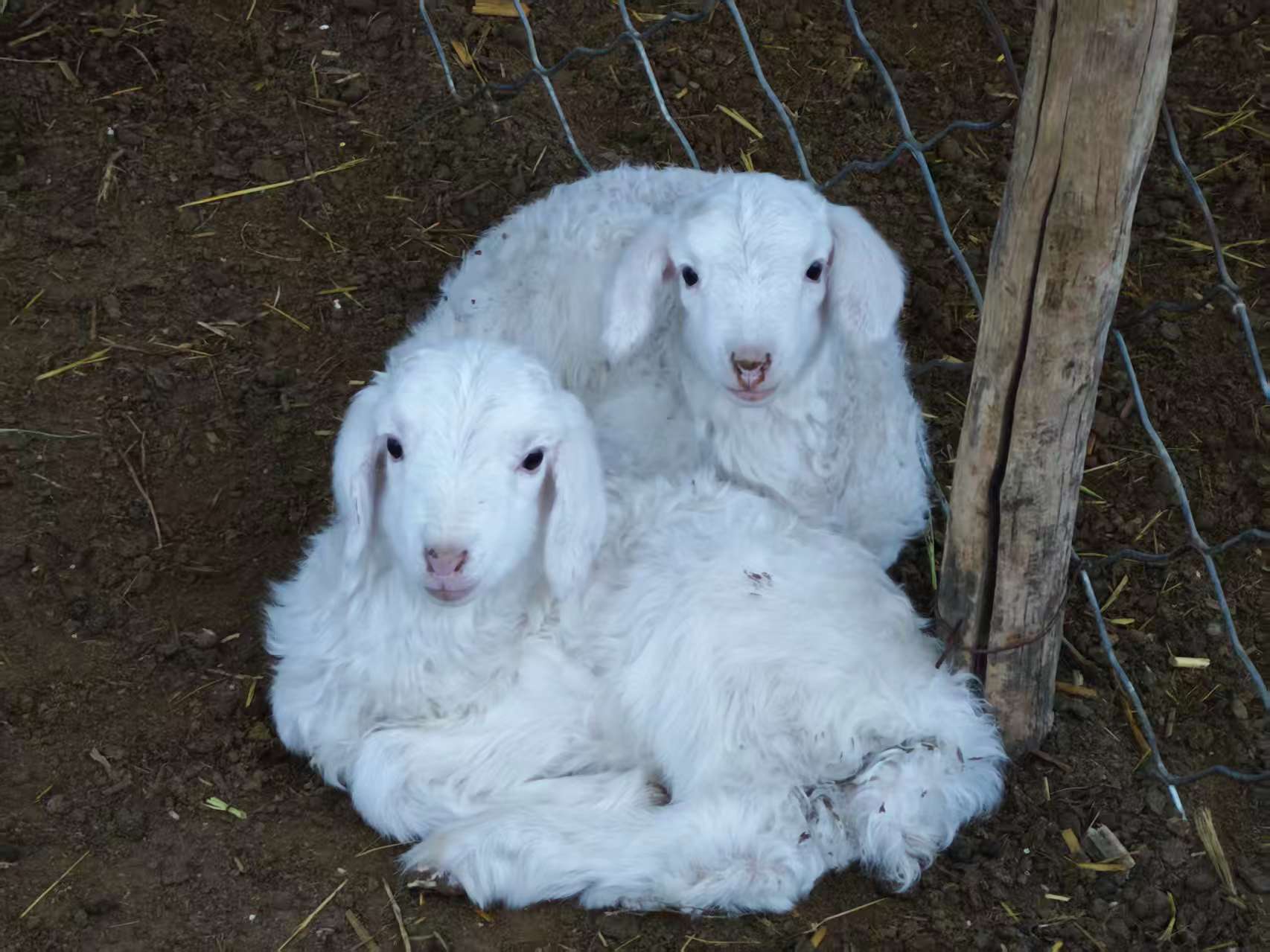 每日与主同行|2025年10月15日