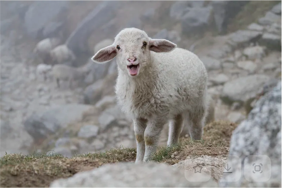 每日与主同行 | 2025年12月3日
