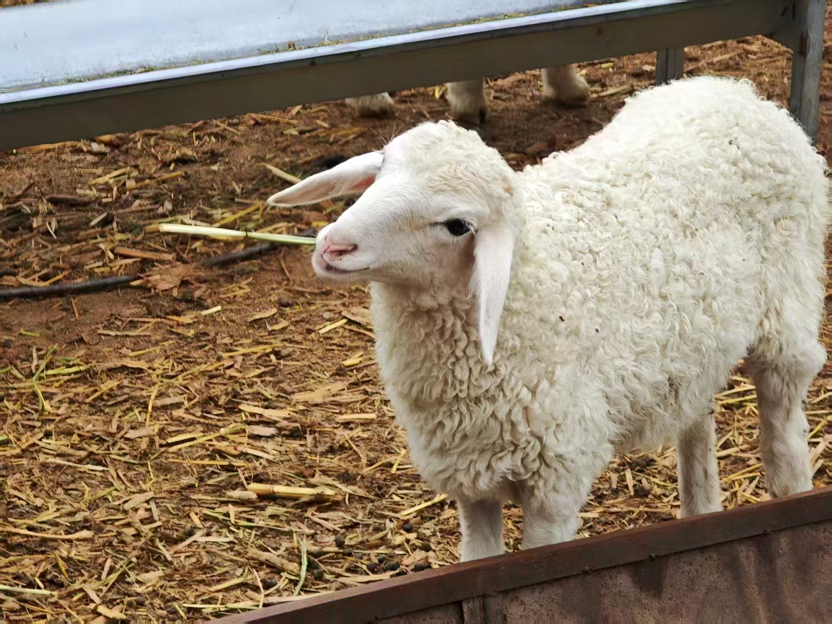 每日与主同行|2025年11月5日