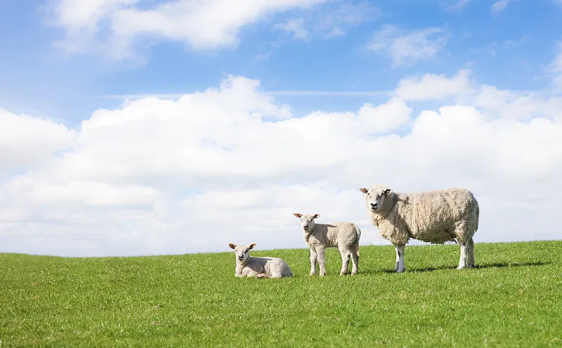 每日与主同行 | 2025年11月19日