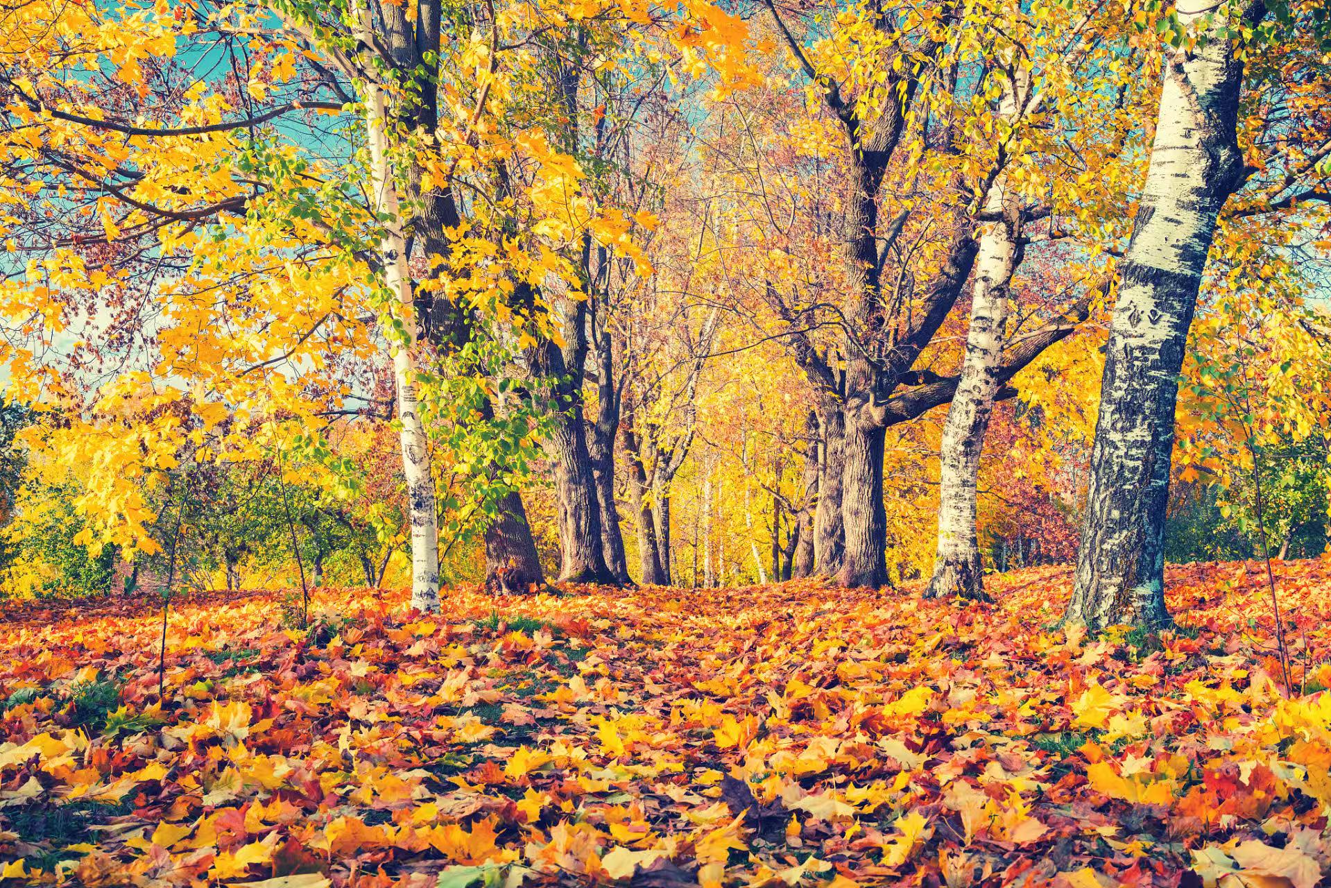 每日与主同行2025年10月9日