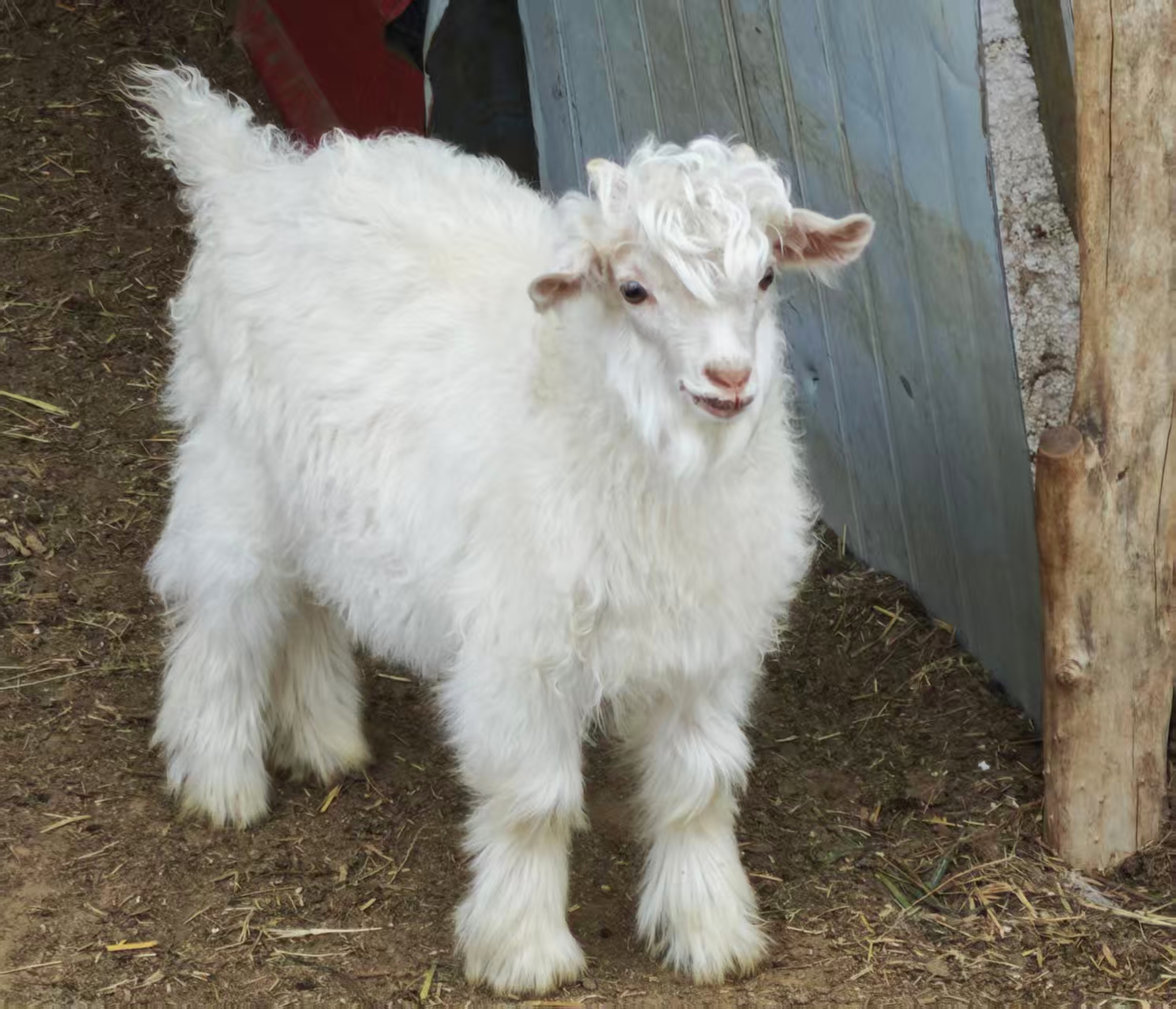 每日与主同行|2025年10月8日