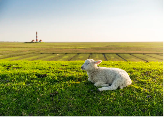 每日与主同行|2025年9月24日