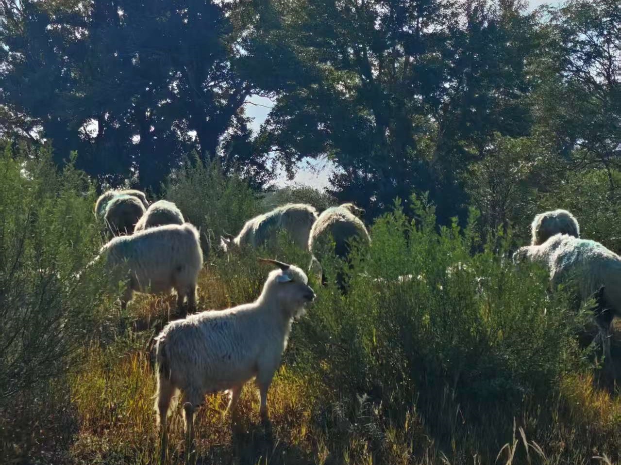 每日与主同行|2025年10月29日