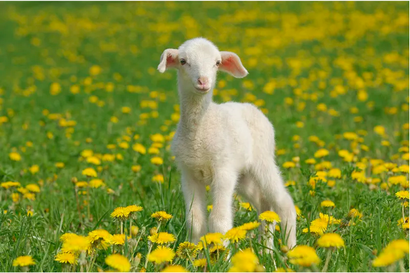 每日与主同行|2025年10月1日