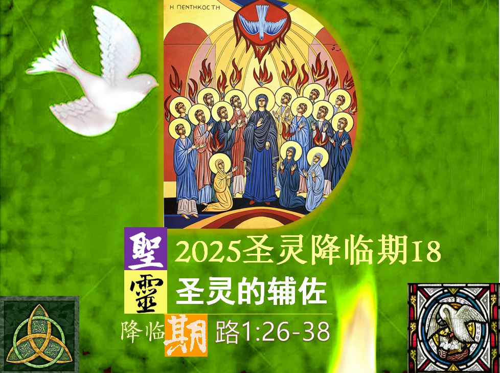2025圣灵降临期18|圣灵的辅佐